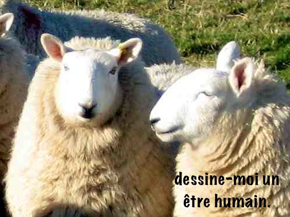 deux moutons qui parlent