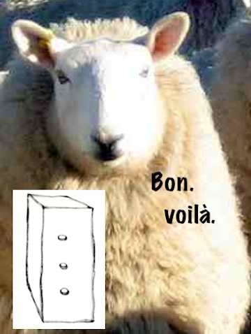 un des moutons...