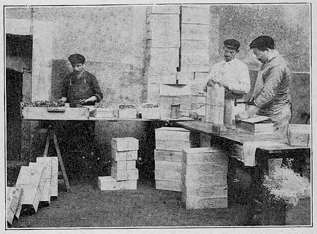 preparation et les
boites