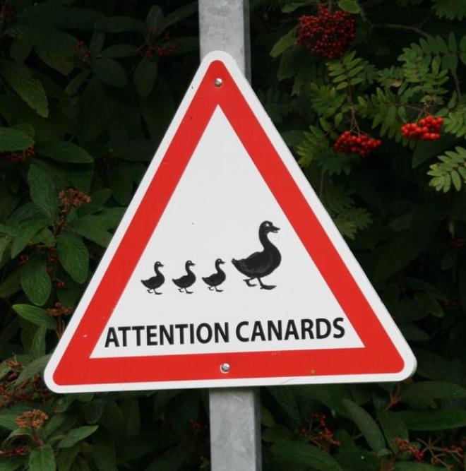 attention canards