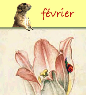 f�vrier