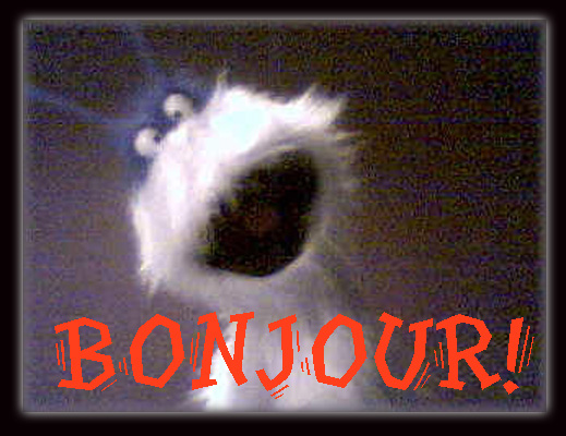 LE MONSTRE DIT "BONJOUR!"