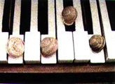 les Escargots/piano