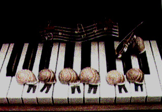 Escargots/piano/dockers