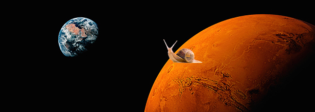 un Escargot sur la planete rouge