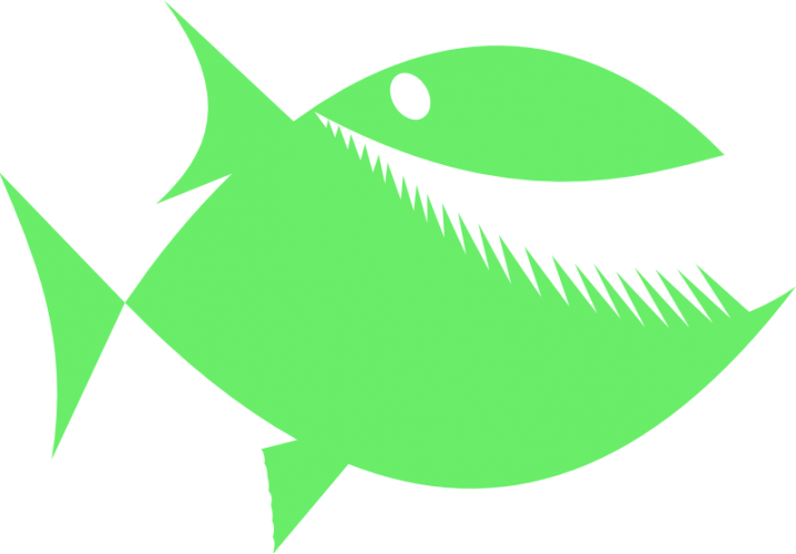 grand poisson vert