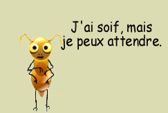 J'ai soif, mais je peux attendre.