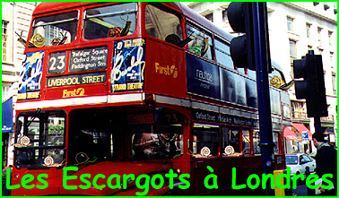 LES ESCARGOTS A LONDRES