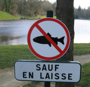 PAS DE POISSON! (sauf en laisse, naturellement)