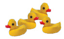 petits canards