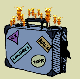 la famille punaise sur la valise