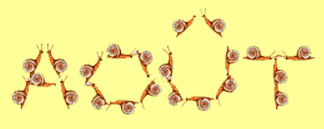aot