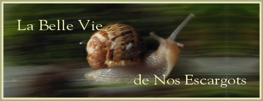 La Belle Vie de Nos Escargots