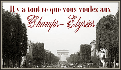 IL Y A TOUT CE QUE VOUS VOULEZ AUX CHAMPS-ELYSEES!