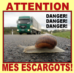 DANGER, MES ESCARGOTS!