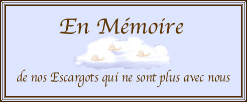 En M�moire des Escargots qui ne sont plus avec nous...