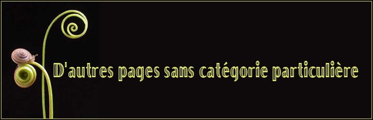 D'autres pages sans cat�gorie particuli�re