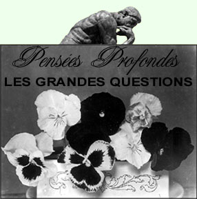 Penses Profondes: Les Grandes Questions