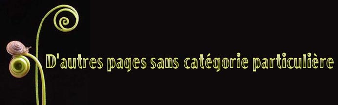 D'autres pages sans catgorie particulire