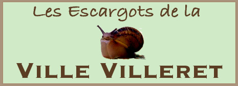 LES ESCARGOTS DE LA VILLE VILLERET